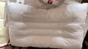 富安娜京爆 枕头芯颈椎枕芯决明子成人枕头两只深度睡眠枕一对装74*48cm 实拍图
