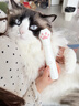 先锋（SINGFUN）宠物剃毛器猫咪专用剃脚毛器静音狗狗脚毛修剪器宠物店局部推子小猫猫爪脚底脚掌屁屁一体机电推剪 实拍图