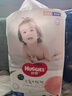 好奇（Huggies）铂金装小桃裤成长裤XL96片(12-17kg)加大号尿不湿【透爽散热】 实拍图