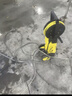 KARCHER德国卡赫高压洗车机K3 Plus HR高压水枪冲洗清洗机【千元经典款】 实拍图