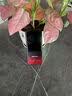 海信（Hisense）5G随身wifi 106C无线WiFi小巧轻薄LCD屏幕NFC直连宿舍游戏户外直播移动路由器电信移动高速便携 【旗舰款】106c米灰白丨5G双网满血免插卡 【旗舰款】海信随身Wi 实拍图