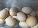 京鲜生【供港品质】【每日鲜蛋】无抗谷物鸡蛋30枚3.78斤当日产蛋当日发 实拍图