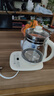 九阳（Joyoung）0胶水养生壶 1.5L煮茶器 玻璃花茶壶 316不锈钢烧水壶电热水壶 WY301 实拍图