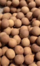 禾煜 小核桂圆干 500g 龙眼干 壳薄肉厚煲汤泡茶 实拍图