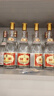 汾酒 黄盖玻汾 清香型白酒 53度 475mL*6瓶整箱 年份随机 实拍图