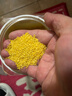 十月稻田内蒙古黄小米5斤 京东产品溯源 小米黄小米 早餐 粥杂粮 节日送礼 实拍图