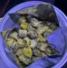 南京同仁堂菊花茶特级胎菊桐乡杭白菊花蕾黄去火清热解毒养肝护肝 实拍图