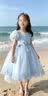女童公主裙夏季连衣裙儿童礼服蓬蓬裙拖尾泡泡袖表演裙高档绣花裙 蓝色拖尾连衣裙 110 实拍图
