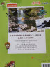 世界城市寻宝记 11 济州岛寻宝记2·环球寻宝记系列 历史知识漫画书儿童科普百科漫画书正版6-14岁 少年儿童科普大百科寒假暑假作业课外读物自主阅读一升二暑假衔接小升初暑假衔接 儿童年货节送礼 实拍图