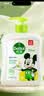 滴露（Dettol）洗手液抑菌消毒 茉莉绿茶清香500g*2 儿童洗手液家庭 迪士尼 实拍图