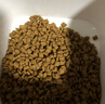 皇家幼猫猫粮 幼猫专用 K36 通用粮 4-12月 400g 实拍图