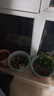 九千谷花盆树脂 国风家用办公室阳台养花种植盆栽口径18山水花盆2个4442 实拍图
