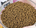 万颐猫粮毛发管理全价全期英短美短通用型鲜肉酶解猫干粮10kg 实拍图