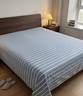 洁丽雅（Grace）A类7A抗菌100%纯棉床单单件学生宿舍床罩 120*230cm 条纹兰 实拍图