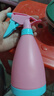 喷壶小型喷壶器浇花洒水壶糖果色喷壶喷水工具 糖果粉色（1个装） 实拍图
