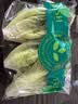 钟灵山罗马生菜400g 实拍图