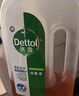 滴露（Dettol）消毒液5L大桶装消毒水家用商用工业车间酒店物业衣物环境消毒杀菌 实拍图