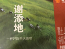 辉山谢添地黑土A2β-酪蛋白纯牛乳250ml×10盒 高端礼盒 综艺同款 实拍图