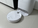 石头（roborock）扫地机器人扫拖一体 P20 Max扫拖洗烘一体机 自动集尘热水洗拖布擦地拖地洗地机吸尘器 A2950RR 实拍图
