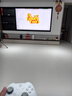 飞智冰原狼4多模版无线游戏手柄 类xbox 力调节摇杆双切扳机 switch电脑PC手机steam体感NS 仁王3 实拍图