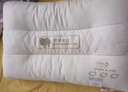 洁丽雅（Grace）枕头定型枕 水立方中枕枕芯45*70cm 白色枕头单人一只 实拍图
