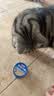 伊纳宝猫罐头泰国进口鱼肉猫湿粮宠物猫粮猫零食前浜的鱼115g 【6罐】鲣鱼+凤尾鱼115g*6 实拍图