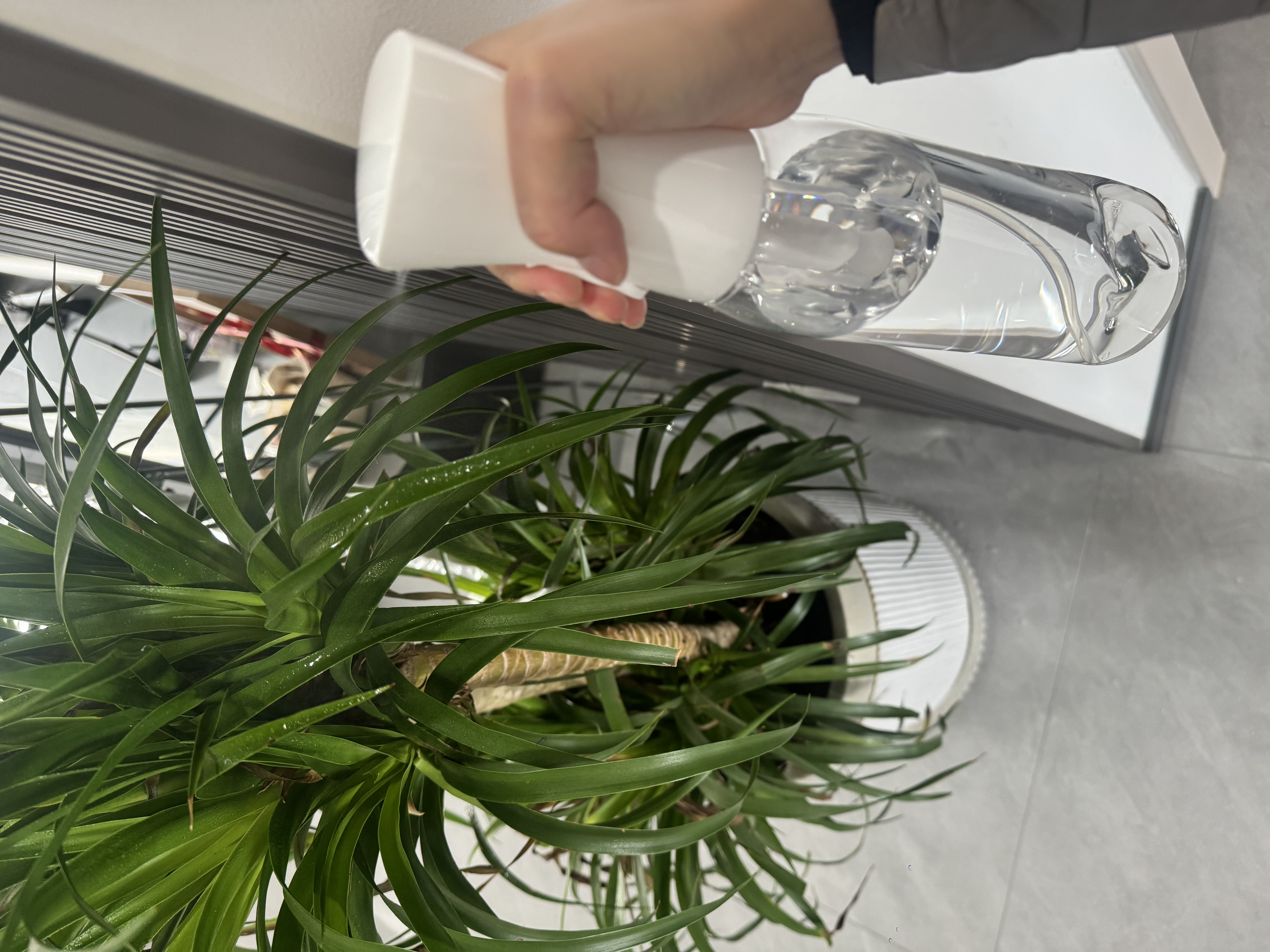 Daisy Leaf大容量高压细雾喷雾瓶酒精消毒液喷壶带刻度喷雾器化妆水浇花补水高压喷壶超细雾 实拍图