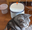 霍曼（Homerun）宠物智能三代饮水机Pro 猫咪饮水机无线杀菌水泵自动循环流动水 实拍图