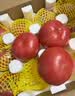 京鲜生 山东普罗旺斯番茄 净重4.5斤 单果125g+ 沙瓤西红柿 源头直发 实拍图