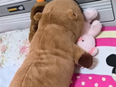 贝尚星卡皮巴拉玩偶大号娃娃抱枕公仔毛绒玩具睡觉靠枕生日礼物女可拆洗 实拍图