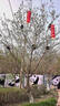 骆驼牌 男士休闲皮鞋磨砂牛皮厚底工装鞋中年爸爸 P13A201013 黑色 40 实拍图