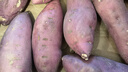 京鲜生天津岳龙红瑶蜜薯 精选中果150-400g净重4.5斤 软糯香甜 源头直发 实拍图