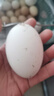 百世富泽（BAISHIFUZE）【百世富泽】黄河滩大鹅蛋新鲜正宗土鹅蛋农家自养孕妇超大鹅蛋 12枚130-150克 实拍图