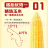 十月稻田 五常黄糯玉米 8根 3.52斤 东北甜粘玉米棒 真空包装 杂粮礼盒 实拍图