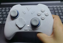 飞智冰原狼4多模版无线游戏手柄 类xbox 力调节摇杆双切扳机 switch电脑PC手机steam体感NS 仁王3 实拍图