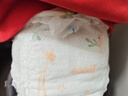 大王（GOO.N）【新升级】花信风拉拉裤XXL26片(15kg以上)婴儿超薄透气 实拍图