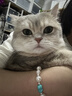 帕特主食冻干猫粮猫零食全价生骨肉冻干猫咪尝鲜爱心冻干 兔肉冻干12g 实拍图