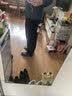SUPIELD素湃防泼水冲锋软壳裤防风耐磨户外裤子春男女休闲裤 极夜黑 2XL 实拍图