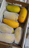 京鲜生  海南金煌芒果 8斤礼盒装 单果约500g 新鲜水果 实拍图