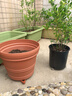 爱丽思（IRIS）特大号圆形花盆种树庭院超大加厚大盆景树木无花果蓝莓果树种植盆 12号茶色 约17L (口径35.8cm) 实拍图