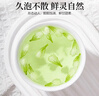 陈一凡 茉莉花苞 精选广西横县三伏晴天茉莉花茶花蕾罐装30g 实拍图