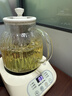 奥特优（AOTEYOU）养生壶炖煮壶一体煮茶壶烧水壶全玻璃养生壶小型一人热水壶母亲节礼物实用员工伴手礼 【茶漏款】120min恒温丨24小时预约丨 1.2L 实拍图