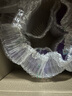 纽康特（Neocate）1+氨基酸奶粉完全水解腹泻无乳糖防过敏牛奶蛋白婴幼儿特配奶粉 【澳版】SYNEO益生菌氨基酸奶粉 400g*1罐 6件装 实拍图