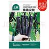 北蔬 尖椒辣椒种子苗紫黑色香辣中早熟四季盆栽菜籽 紫黑尖椒种子15粒 实拍图