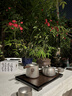 TILIVING[张晚意同款]纯钛茶具泡茶器全套旅行茶具套装功夫泡茶壶茶杯整套 实拍图