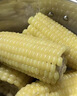 京鲜生东北白糯玉米250g*10棒 新鲜甜糯玉米棒真空包装粘玉米 源头直发 实拍图