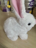 威尔通（WELTSTON）毛绒公仔跳舞布娃娃玩偶玩具儿童生日礼物礼品女生电动宠物小白兔 实拍图