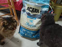 愛肯拿（ACANA）猫粮 海洋盛宴成猫幼猫粮 全价通用无谷进口鱼肉粮5.4kg效期26/12 实拍图