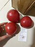 西红柿水果沙瓤番茄多汁新鲜蔬菜生鲜减肥减脂可生吃 西红柿 1斤 试吃款 实拍图