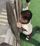 G.duck小黄鸭童装男童套装春装2026新款婴幼儿童马甲毛衣衬衫男宝宝衣服 米色三件套 90 建议1~2岁【80-90cm】cm 晒单实拍图